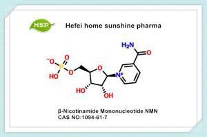 Mononucleotide Β-Nicotinamide NMN CAS 1094-61-7