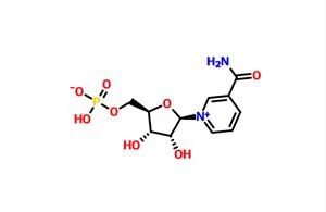 -Monanúicléitíd Nicotanamíd NMN CAS 1094-61-7